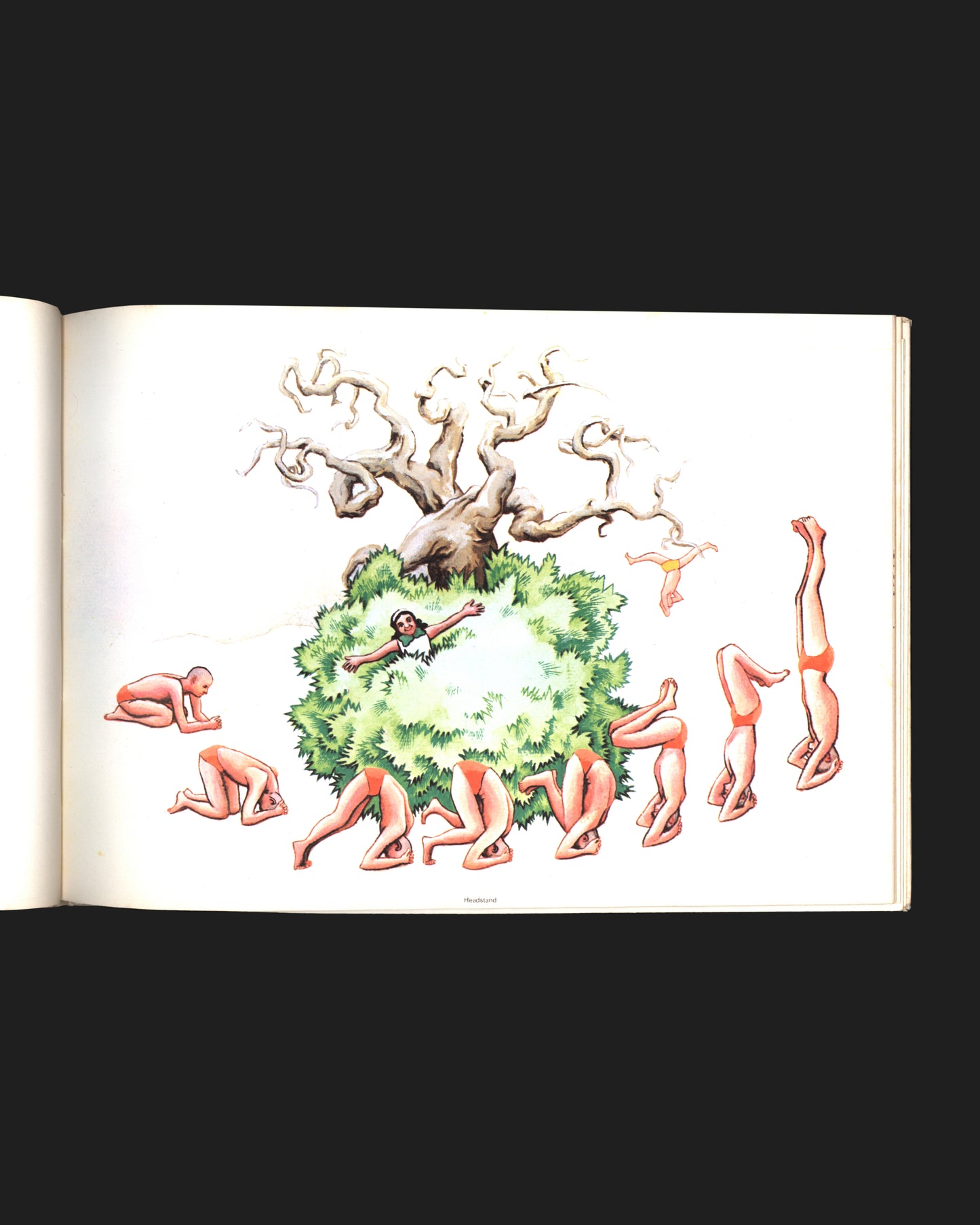 The Adventure of Yoga - Don & Moo Bridell
