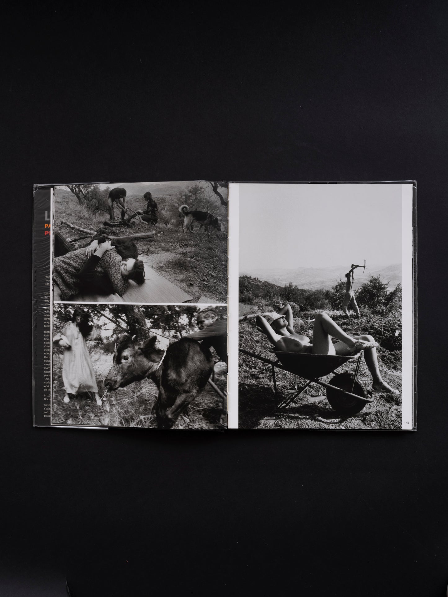 Passion, Justice, Freedom : Photographs of Sicily - Letizia Battaglia