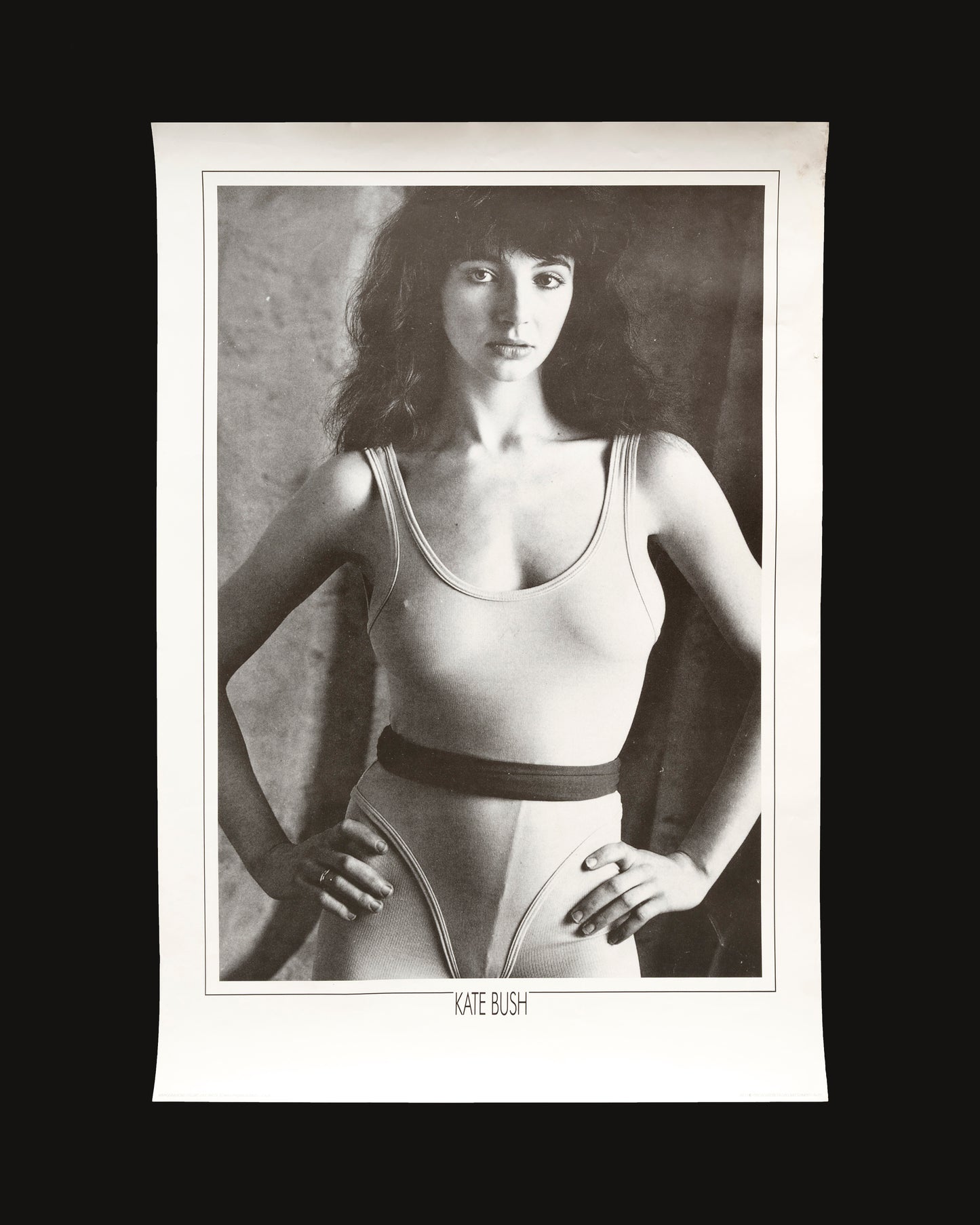 1990 Kate Bush poster