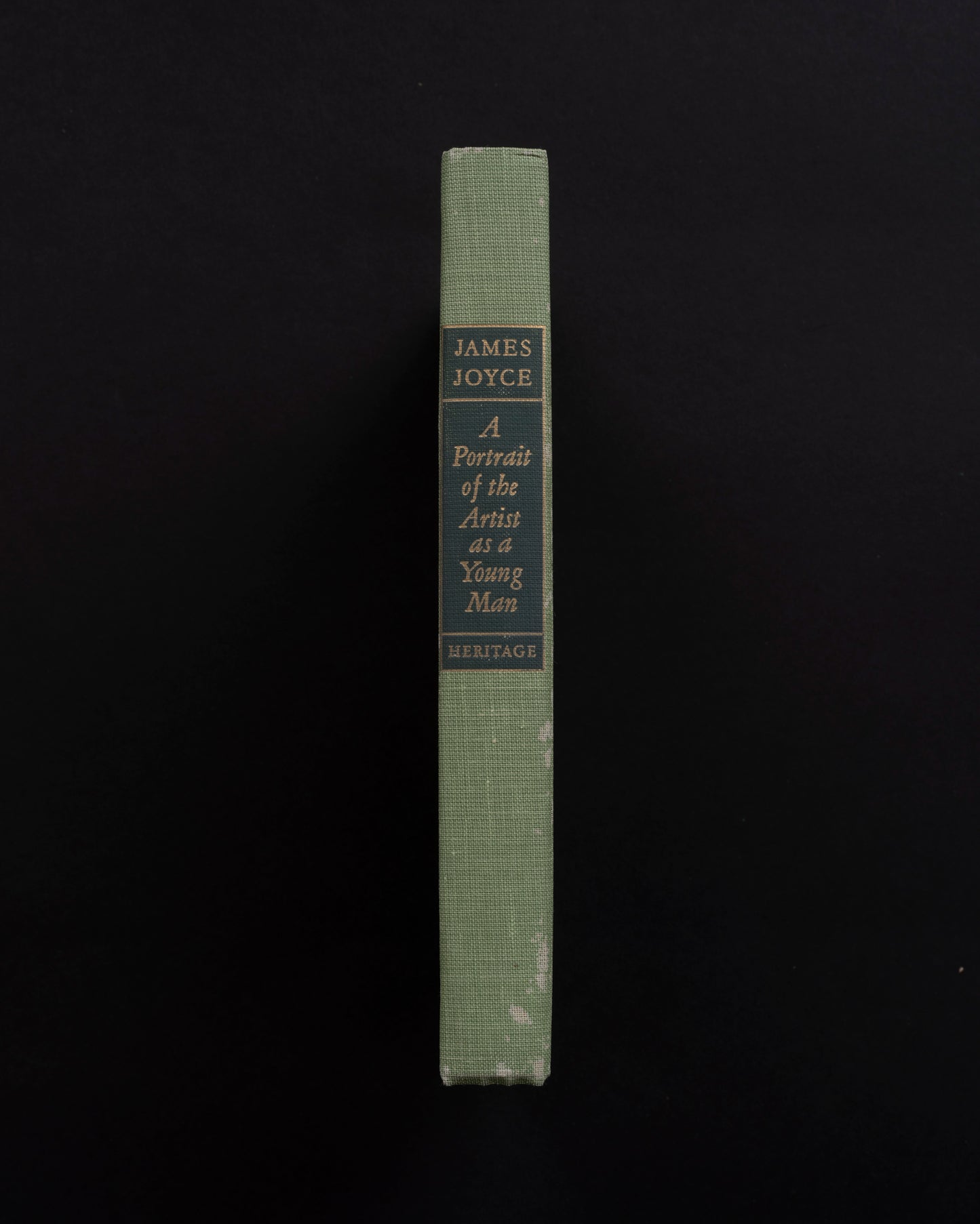 A Portrait of the Artist as a Young Man - James Joyce