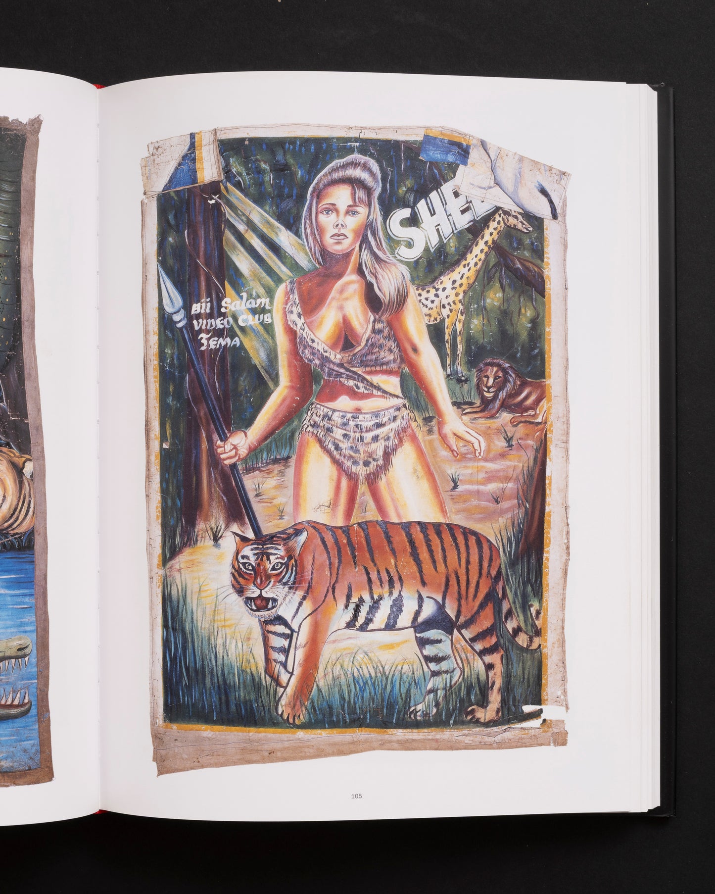 Extreme Canvas : Hand Painted Movie Posters from Ghana