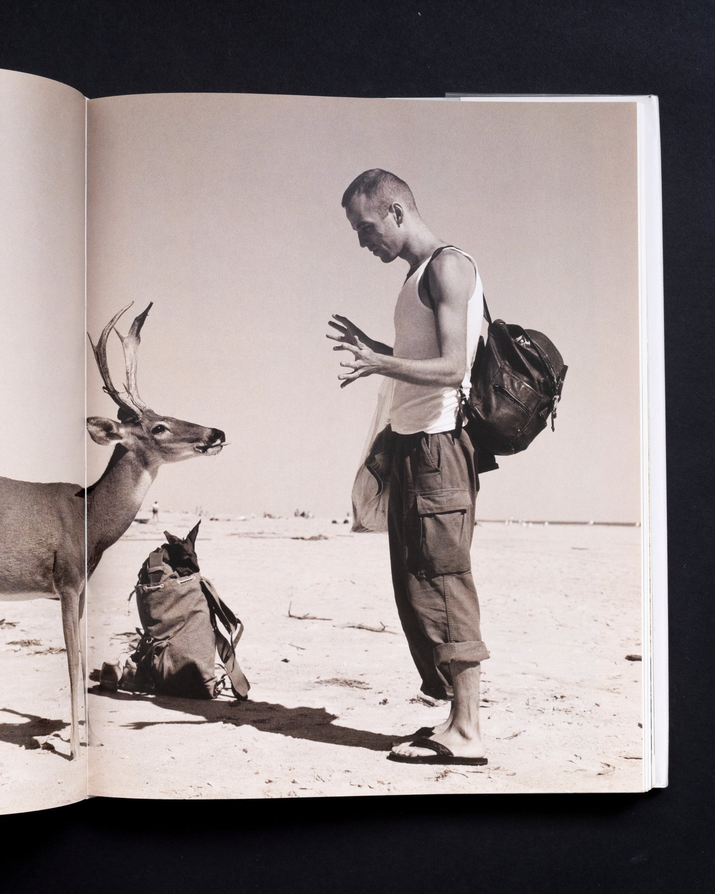 Burg - Wolfgang Tillmans