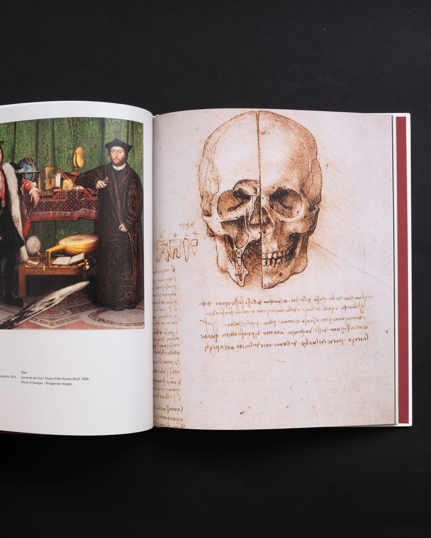 Schadel (Skull) - Gerhard Richter