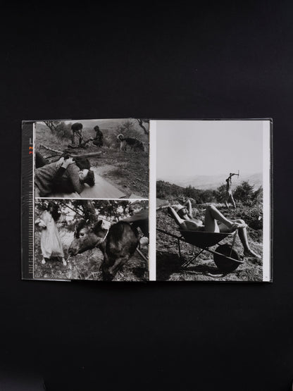 Passion, Justice, Freedom : Photographs of Sicily - Letizia Battaglia